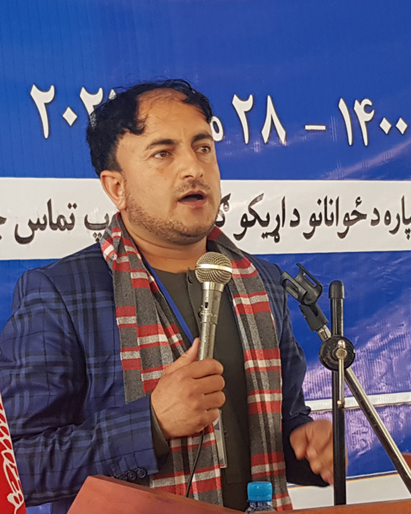 paktika copy